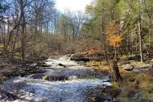 150 Hartwood Dr, Smallwood, NY 12778 - Photo 45