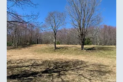 255 Wild Turnpike, Rock Hill, NY 12775 - Photo 5