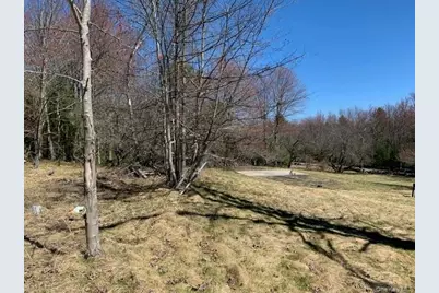 255 Wild Turnpike, Rock Hill, NY 12775 - Photo 11