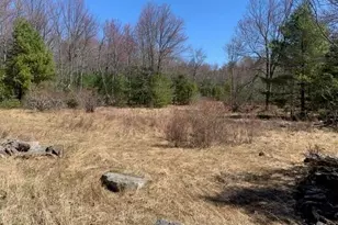 255 Wild Turnpike, Rock Hill, NY 12775 - Photo 7