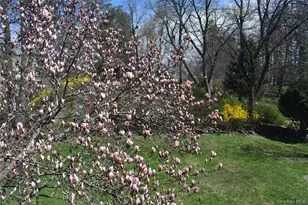 21 Rosalind Rd, Poughkeepsie, NY 12601 - Photo 9