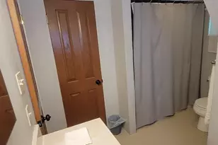 16 Grant St, Liberty, NY 12754 - Photo 17