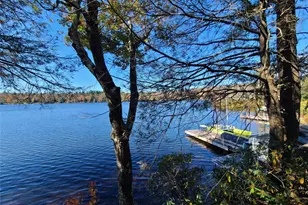 106 Park Dr, Parksville, NY 12768 - Photo 31