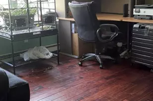 43 N Cozine Rd, Manorville, NY 11949 - Photo 25