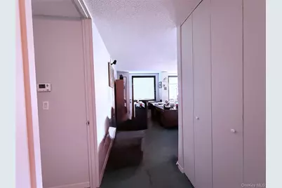 531 Main Street #1511, New York, NY 10044 - Photo 9
