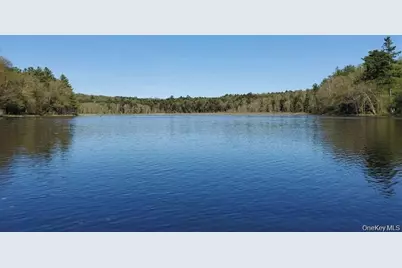 8 Lakeside Drive, Monticello, NY 12701 - Photo 5