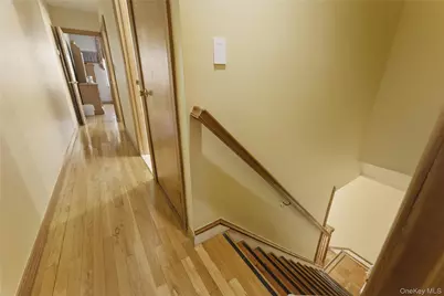 675 E 53rd Street, Brooklyn, NY 11203 - Photo 11