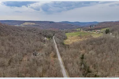 1211 Gulf Rd, Livingston Manor, NY 12724 - Photo 27