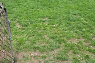 147-13 Willets Point Blvd, Whitestone, NY 11357 - Photo 13