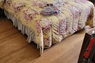 147-13 Willets Point Blvd, Whitestone, NY 11357 - Photo 5