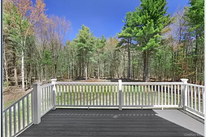 57 Haddock Road, Monticello, NY 12701 - Photo 11