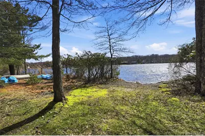 119 Lake Shore Drive W, Rock Hill, NY 12775 - Photo 3