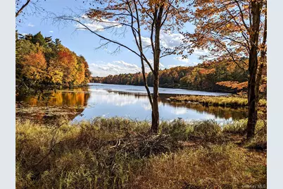 33 E Tusten Place, Smallwood, NY 12778 - Photo 5
