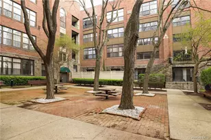 55 McKinley Ave, White Plains, NY 10606 - Photo 9