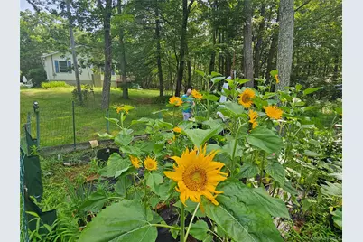 114 Kalin Weber Road, Glen Spey, NY 12737 - Photo 45
