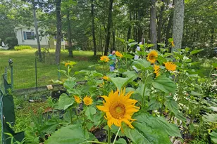 114 Kalin Weber Rd, Glen Spey, NY 12737 - Photo 45