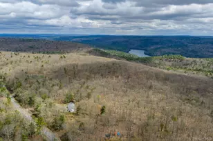114 Kalin Weber Rd, Glen Spey, NY 12737 - Photo 5