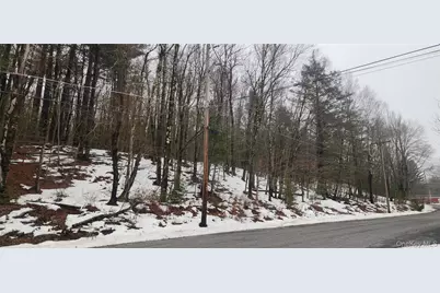 Hamilton Road, Monticello, NY 12701 - Photo 1