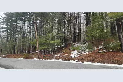 Hamilton Road, Monticello, NY 12701 - Photo 3