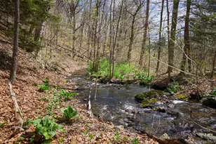 457 Round Lake Rd, Rhinebeck, NY 12572 - Photo 25