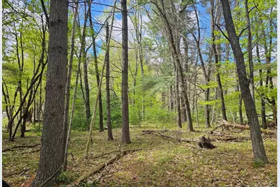 104 Canal Drive, Godeffroy, NY 12729 - Photo 29