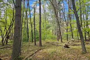 104 Canal Dr, Godeffroy, NY 12729 - Photo 29