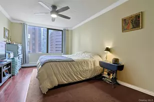 4 Martine, White Plains, NY 10606 - Photo 23
