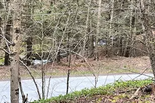 46 Elm Hollow Rd, Livingston Manor, NY 12758 - Photo 5
