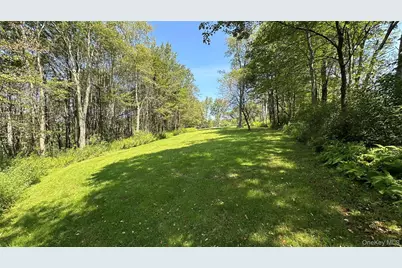 3377 State Route 52, White Sulphur Springs, NY 12787 - Photo 41