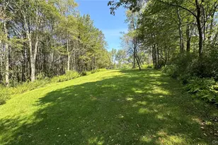 3377 State Route 52, White Sulphur Springs, NY 12787 - Photo 41