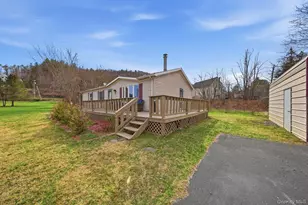 32 Meadow St, Livingston Manor, NY 12758 - Photo 3