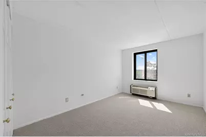 175 Maple Avenue #3G, Westbury, NY 11590 - Photo 21