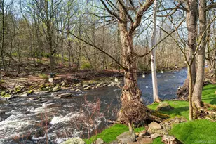 4929 State Route 52, Jeffersonville, NY 12748 - Photo 37