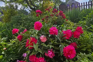 41 Clinton Ave, Ossining, NY 10562 - Photo 43