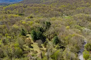 103 S Harmony Hill Rd, Pawling, NY 12564 - Photo 47