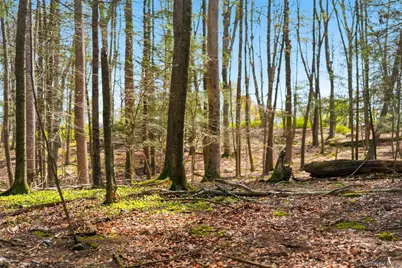101 Minisink Turnpike, Westtown, NY 10998 - Photo 37