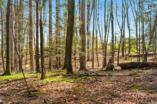 101 Minisink Turnpike, Westtown, NY 10998 - Photo 37