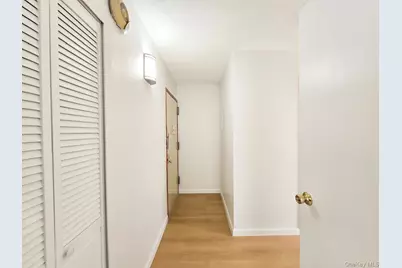 48 Hester Street #5C, New York, NY 10002 - Photo 3