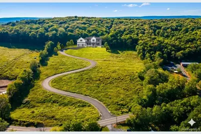 Lot #4 Mountain Road, Port Jervis, NY 12771 - Photo 5