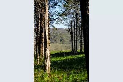 151 Benson Hill Road, Dover Plains, NY 12522 - Photo 11