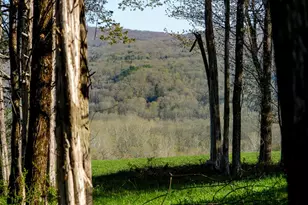 151 Benson Hill Rd, Dover Plains, NY 12522 - Photo 11