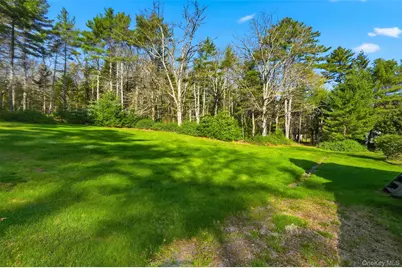 114 Proctor Road, Eldred, NY 12732 - Photo 35