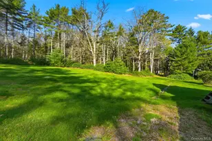 114 Proctor Rd, Eldred, NY 12732 - Photo 35
