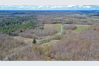1089 Briscoe Road, Swan Lake, NY 12783 - Photo 7