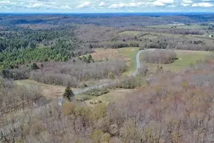 1089 Briscoe Rd, Swan Lake, NY 12783 - Photo 7