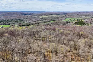 624 County Rd, Fremont Center, NY 12736 - Photo 3