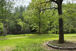21 Hoffmann St, Hankins, NY 12741 - Photo 43