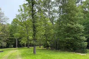 21 Hoffmann St, Hankins, NY 12741 - Photo 21