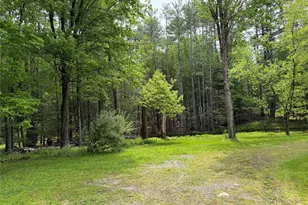21 Hoffmann St, Hankins, NY 12741 - Photo 45