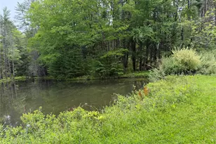 21 Hoffmann St, Hankins, NY 12741 - Photo 5